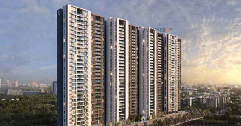 Kunal The Canary Cover Image